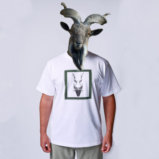 Œuvre n°16 : G.O.A.T