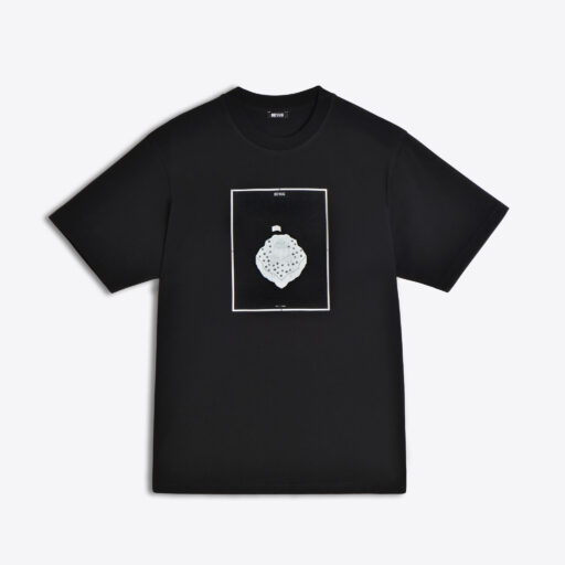 Œuvre n°0 : Trêve